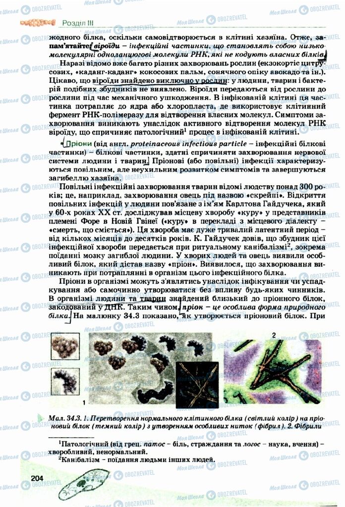 Підручники Біологія 10 клас сторінка 204