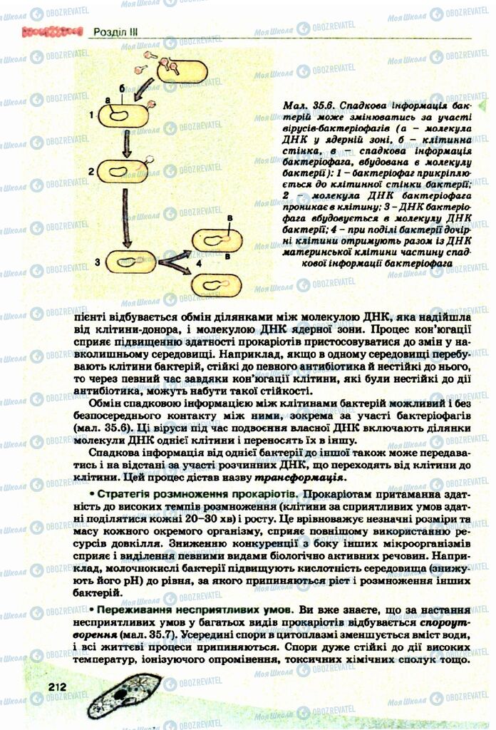 Підручники Біологія 10 клас сторінка 212
