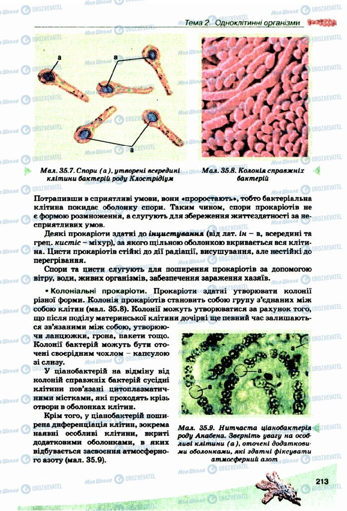 Підручники Біологія 10 клас сторінка 213
