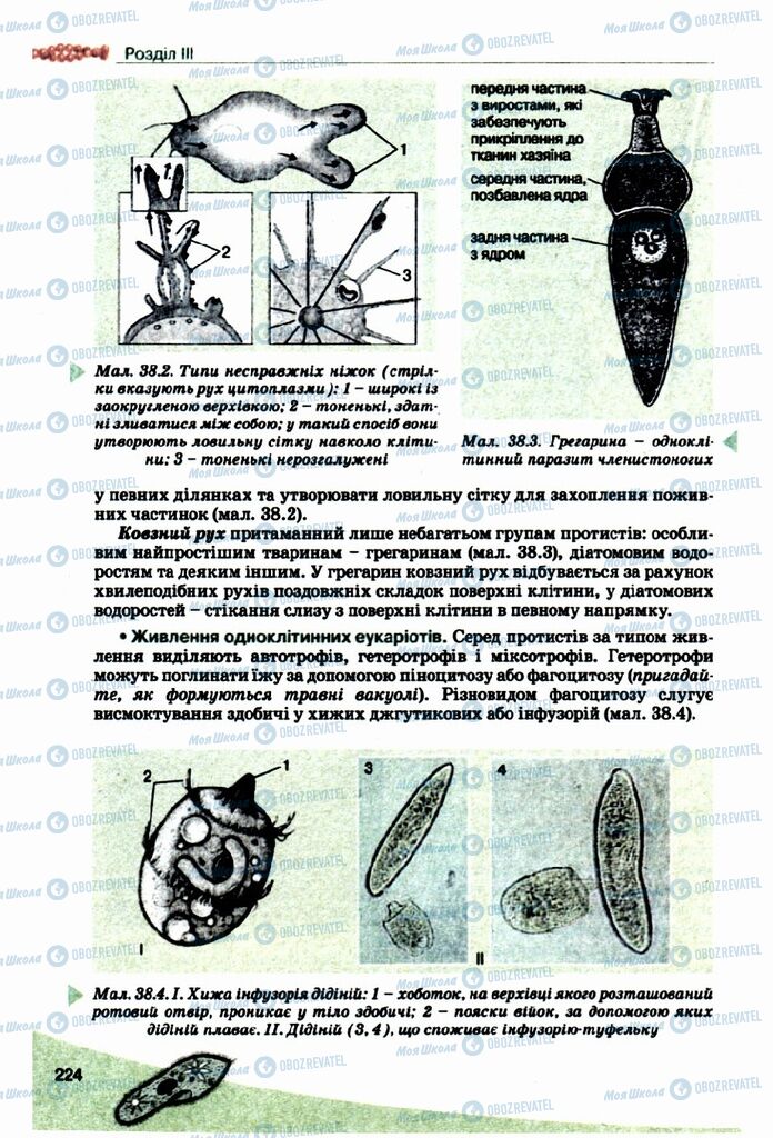 Учебники Биология 10 класс страница 224