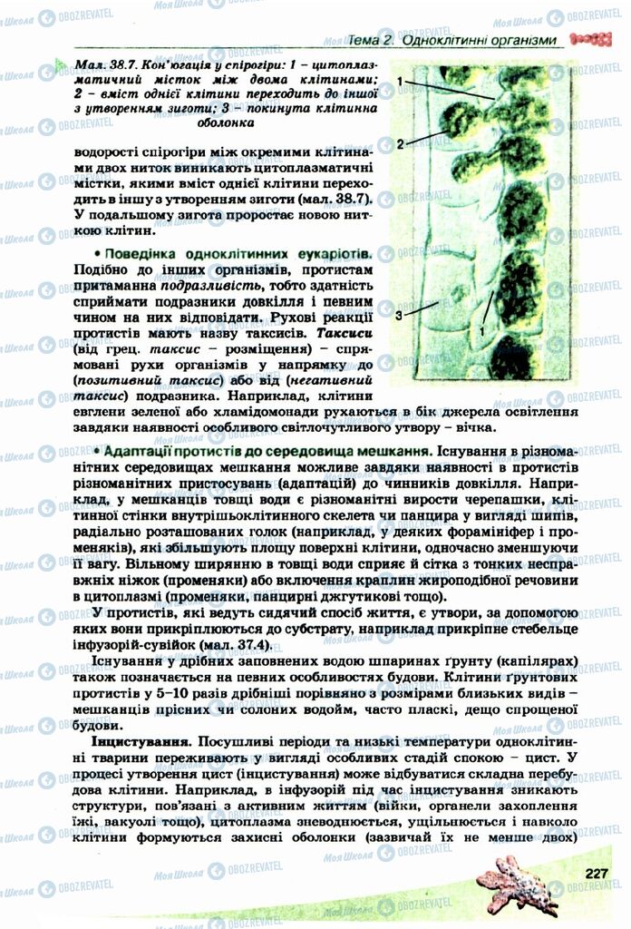 Учебники Биология 10 класс страница 227