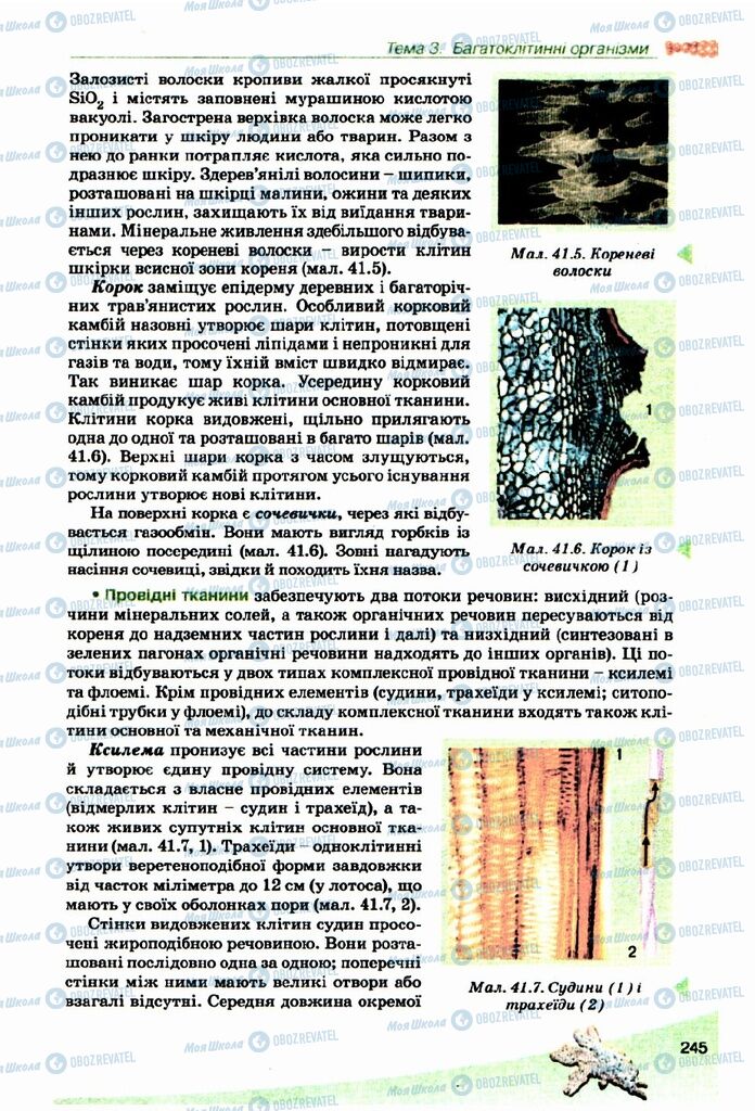 Підручники Біологія 10 клас сторінка 245