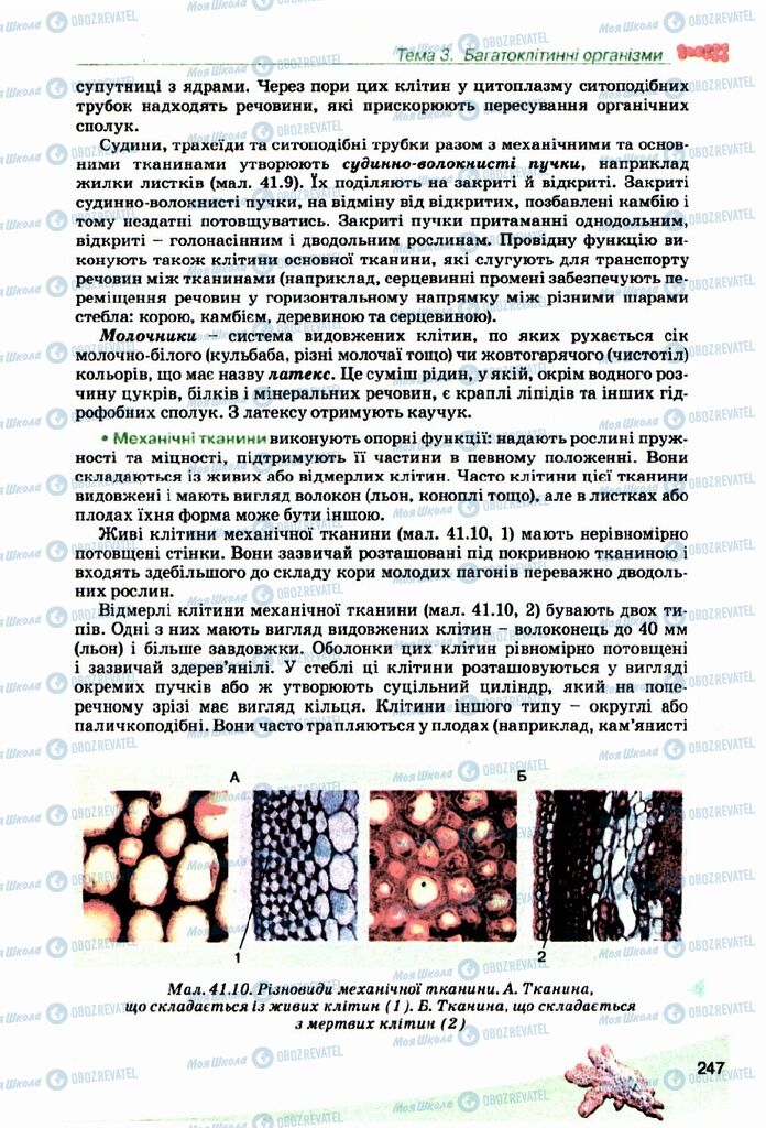 Підручники Біологія 10 клас сторінка 247