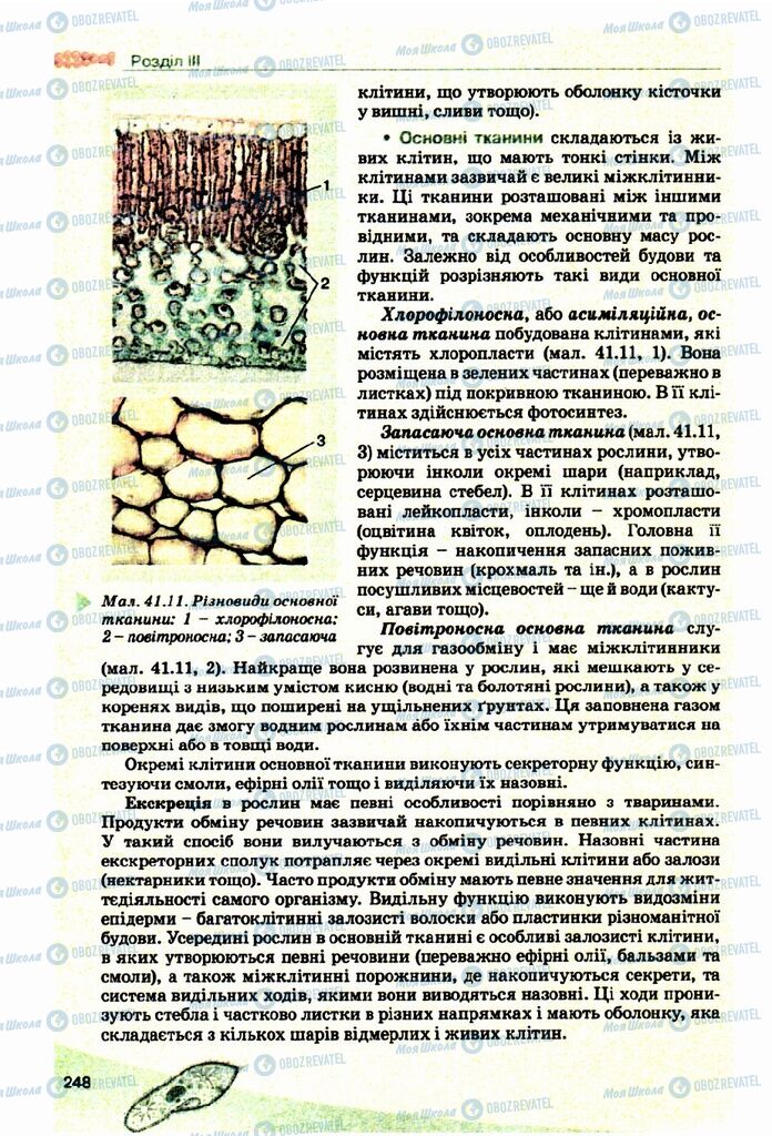 Підручники Біологія 10 клас сторінка 248