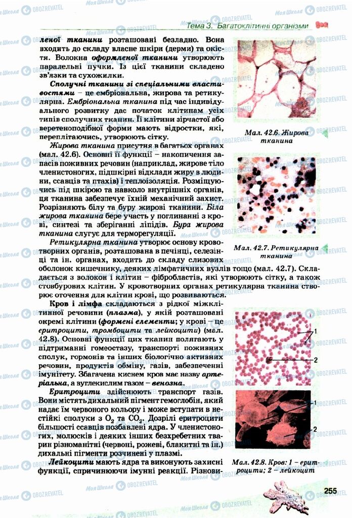 Учебники Биология 10 класс страница  255