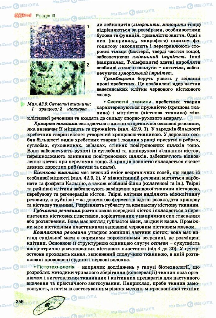 Підручники Біологія 10 клас сторінка  256