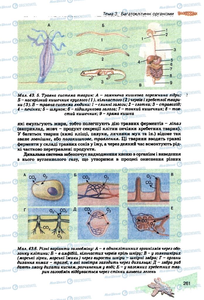 Учебники Биология 10 класс страница 261