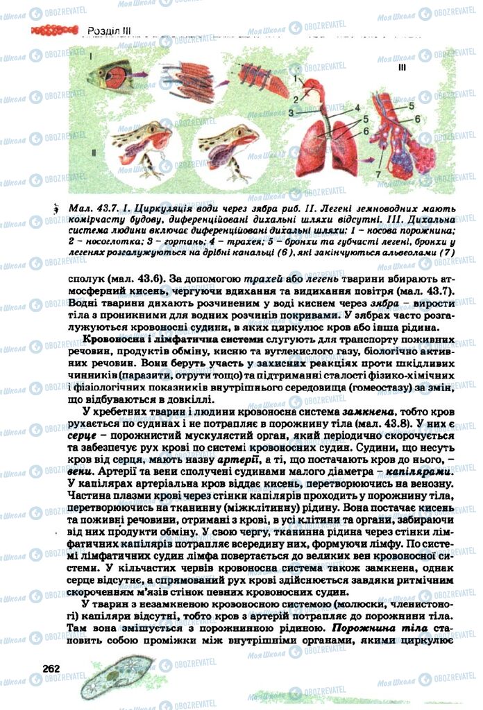 Підручники Біологія 10 клас сторінка 262