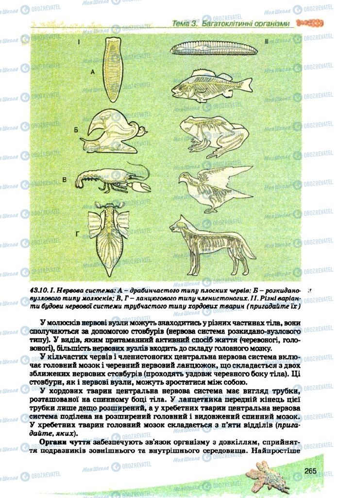 Учебники Биология 10 класс страница 265
