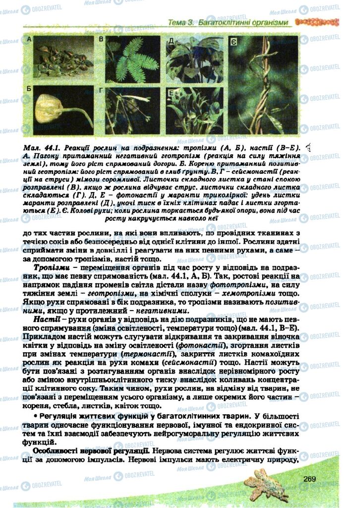 Підручники Біологія 10 клас сторінка 269
