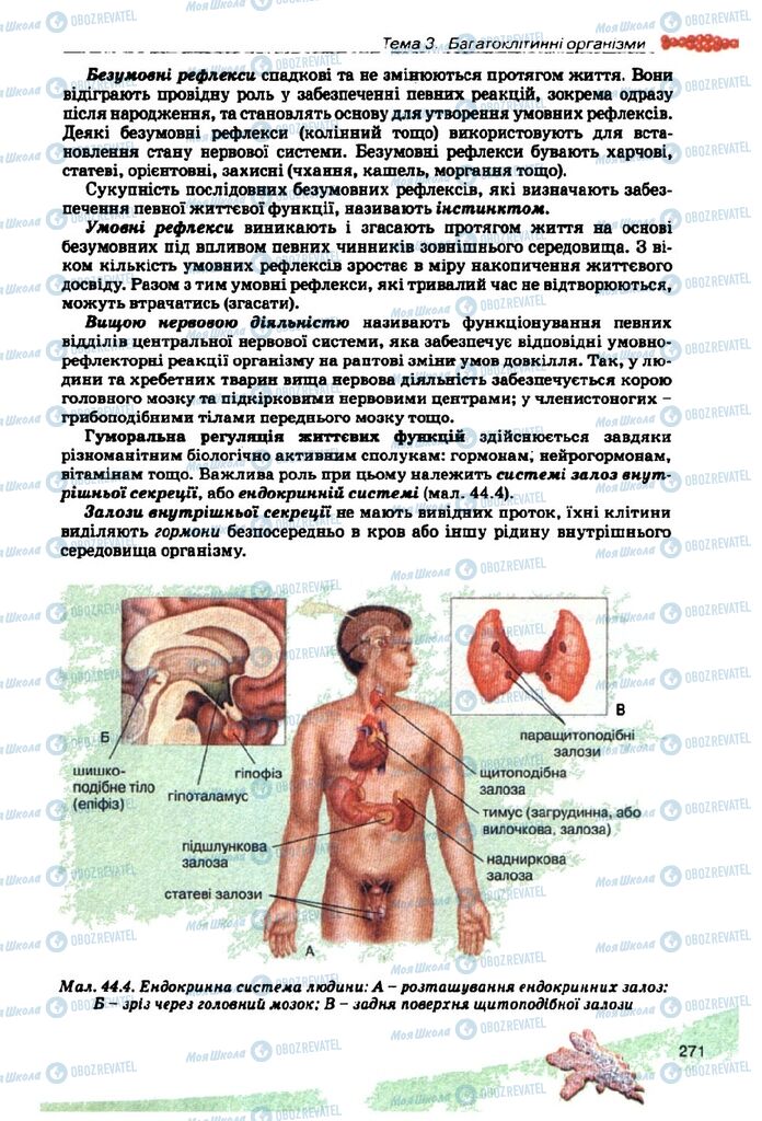 Учебники Биология 10 класс страница 271