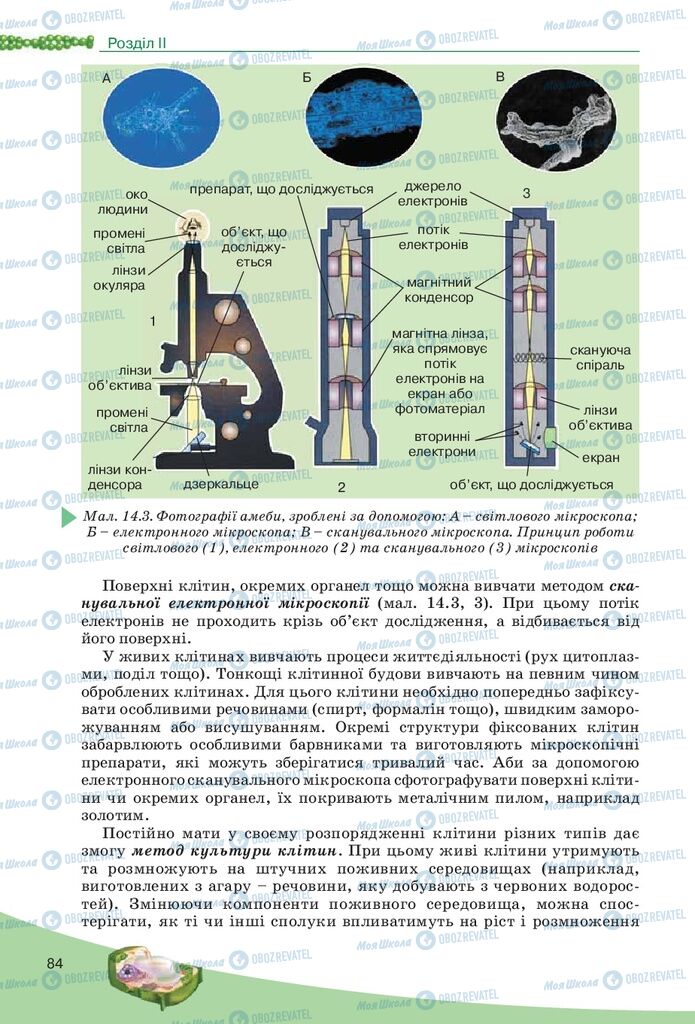 Учебники Биология 10 класс страница 84