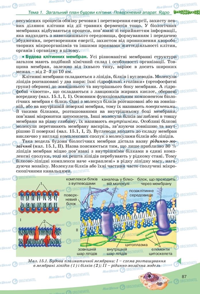 Учебники Биология 10 класс страница 87