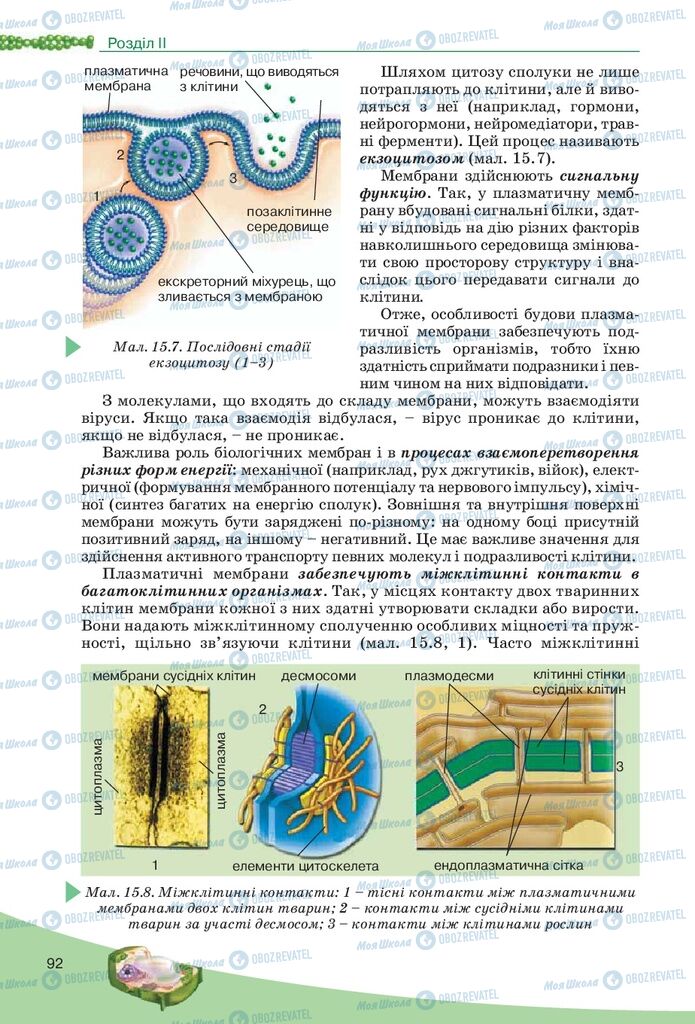 Підручники Біологія 10 клас сторінка 92