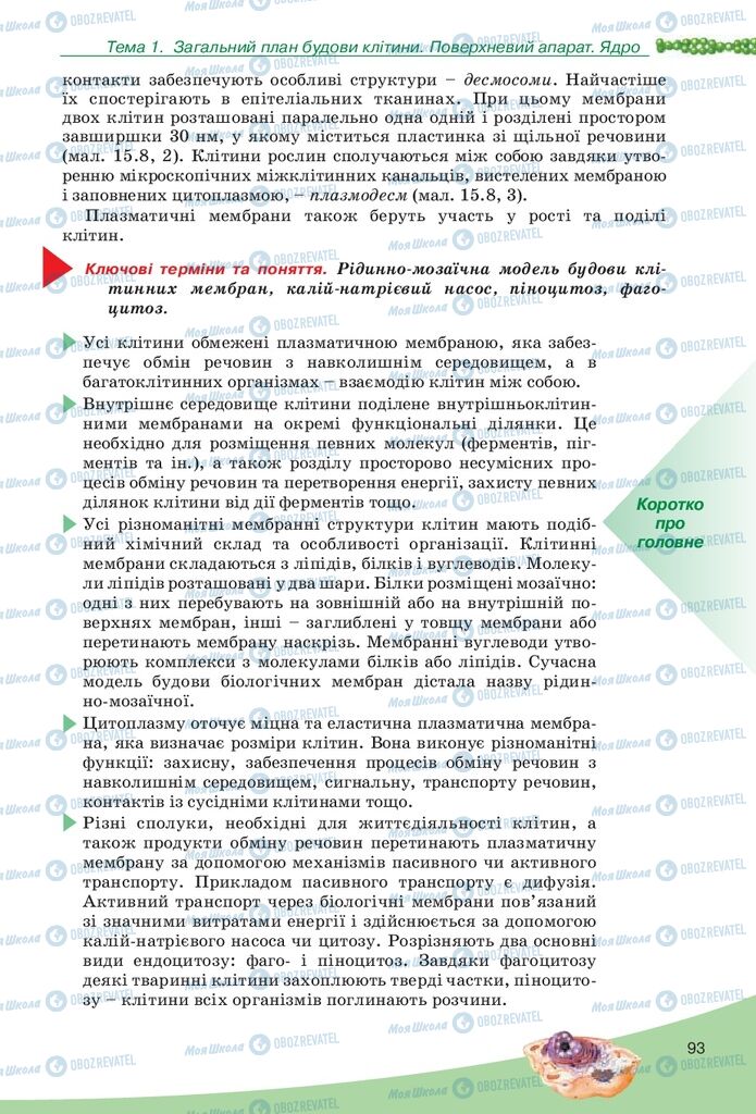 Підручники Біологія 10 клас сторінка 93