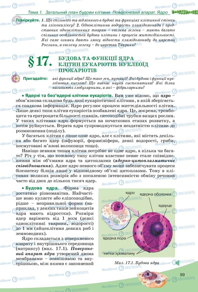 Підручники Біологія 10 клас сторінка  99