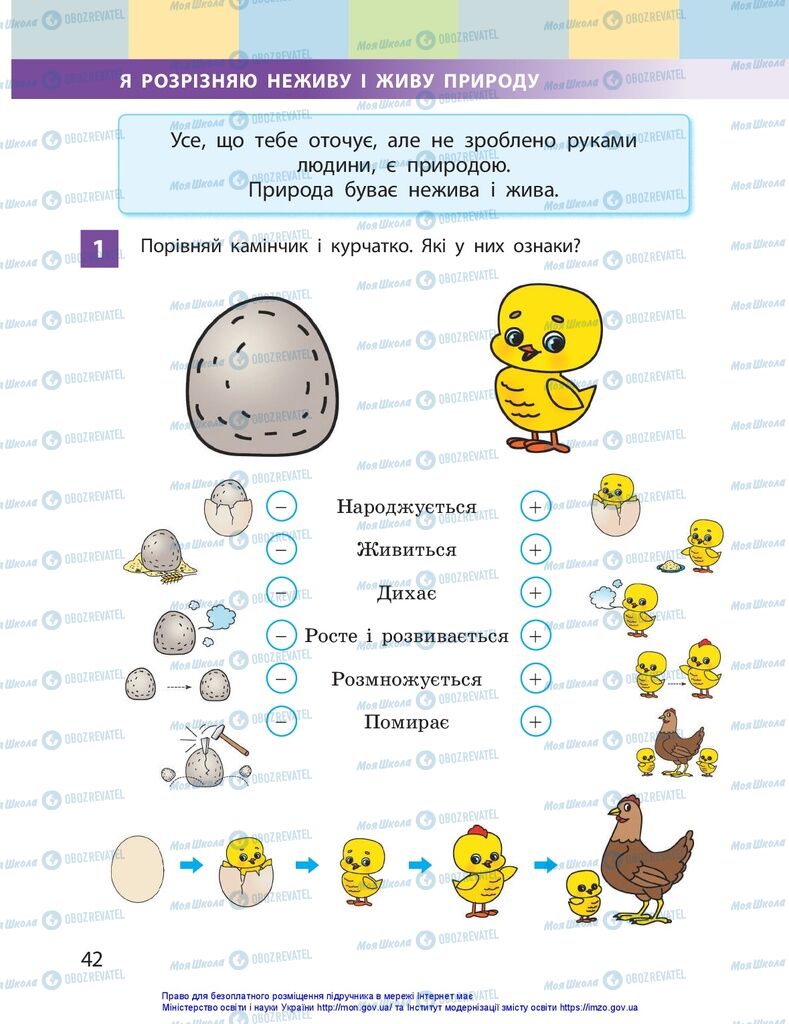 Підручники Я досліджую світ 1 клас сторінка 42