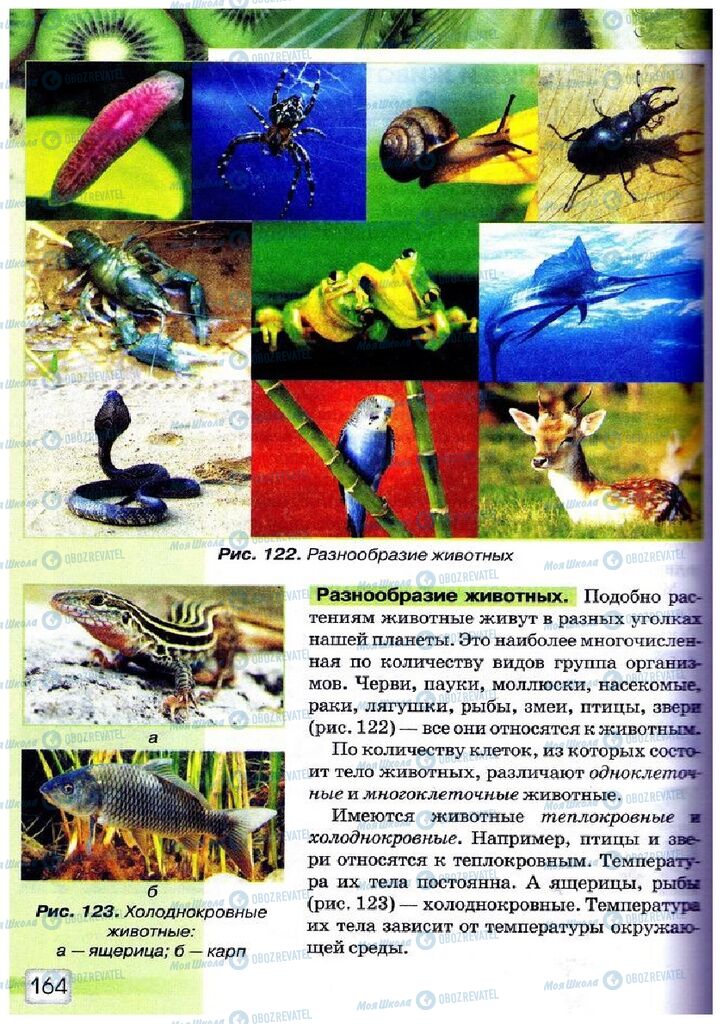 Учебники Природоведение 5 класс страница 164