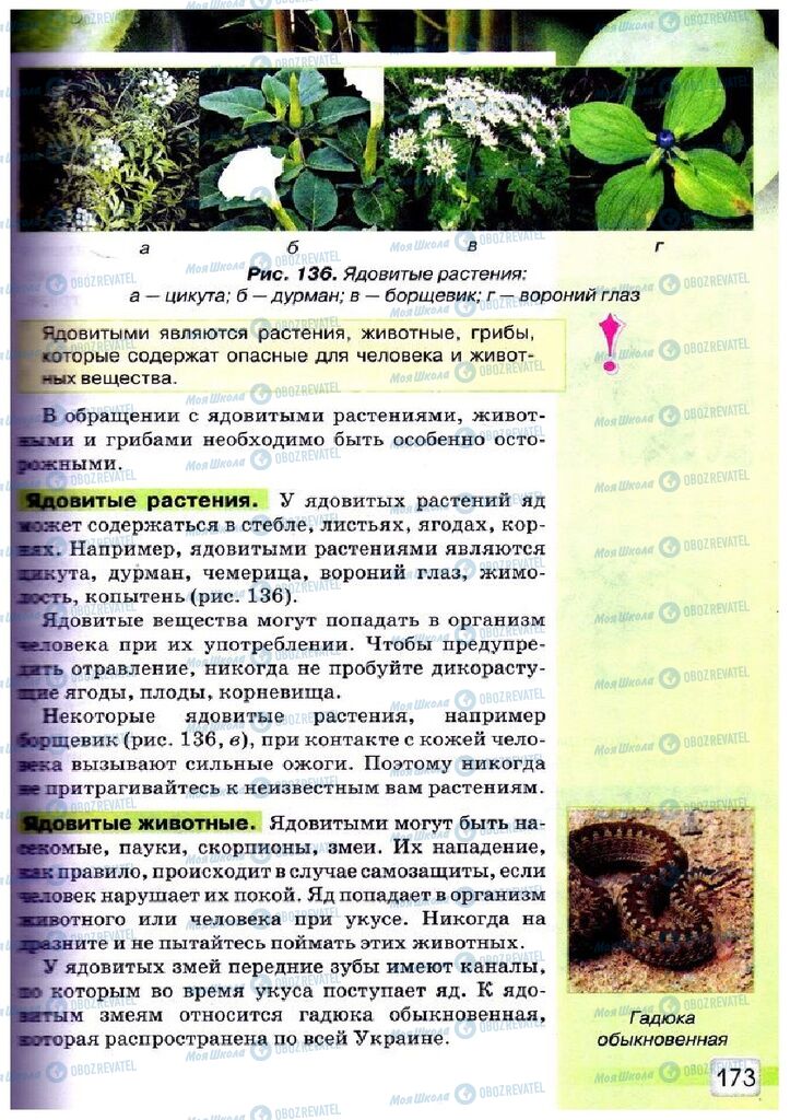 Підручники Природознавство 5 клас сторінка 173