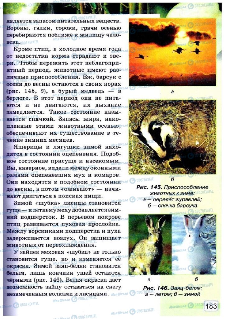 Учебники Природоведение 5 класс страница 183