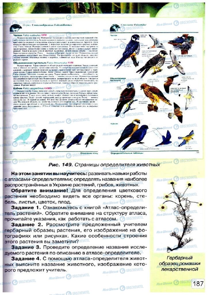 Підручники Природознавство 5 клас сторінка 187