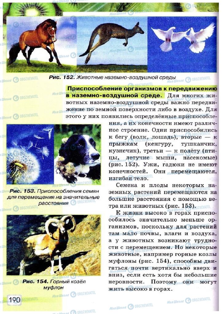 Підручники Природознавство 5 клас сторінка 190