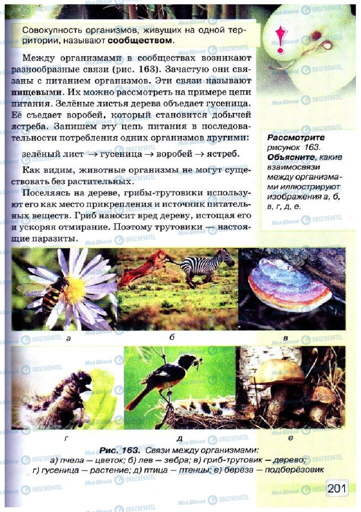 Учебники Природоведение 5 класс страница 201