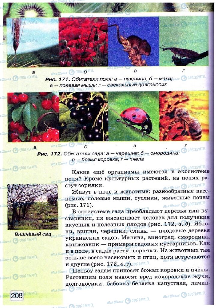 Підручники Природознавство 5 клас сторінка 208