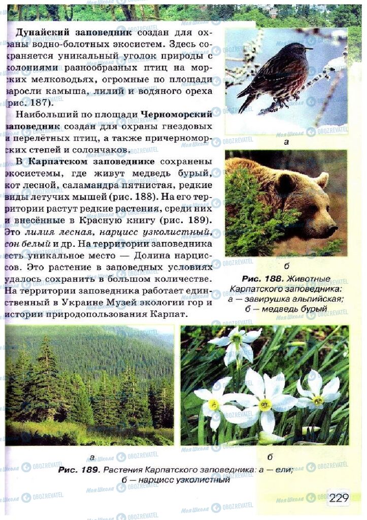 Підручники Природознавство 5 клас сторінка 229