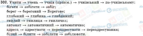 ГДЗ Українська мова 9 клас сторінка 300