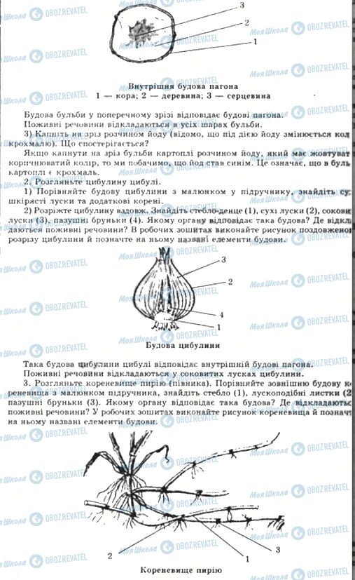 ГДЗ Біологія 6 клас сторінка ЛР 6-2