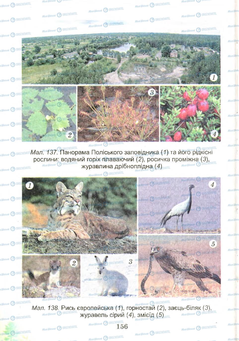 Підручники Природознавство 4 клас сторінка 156