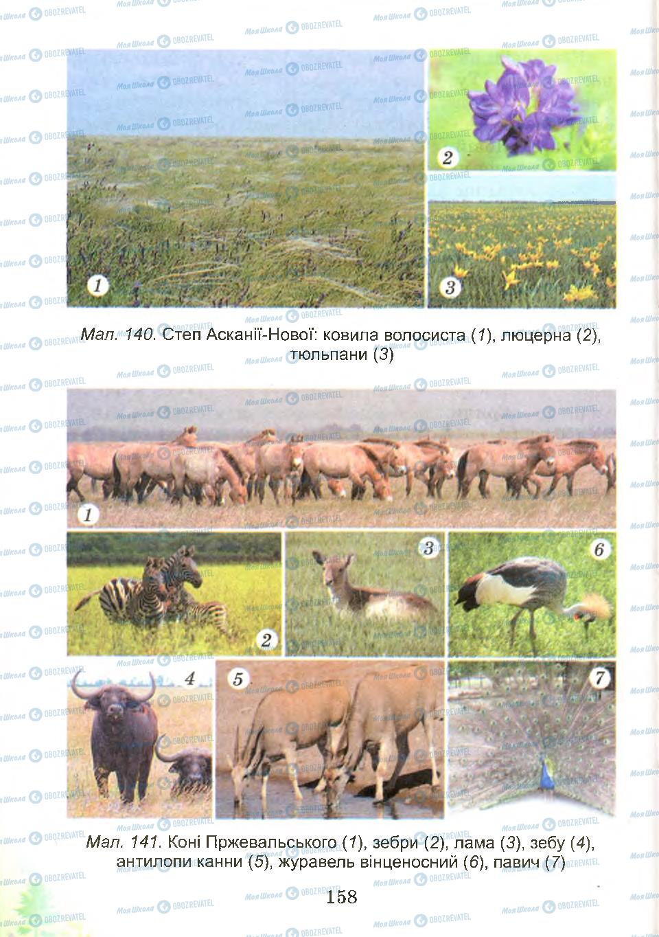Підручники Природознавство 4 клас сторінка 158