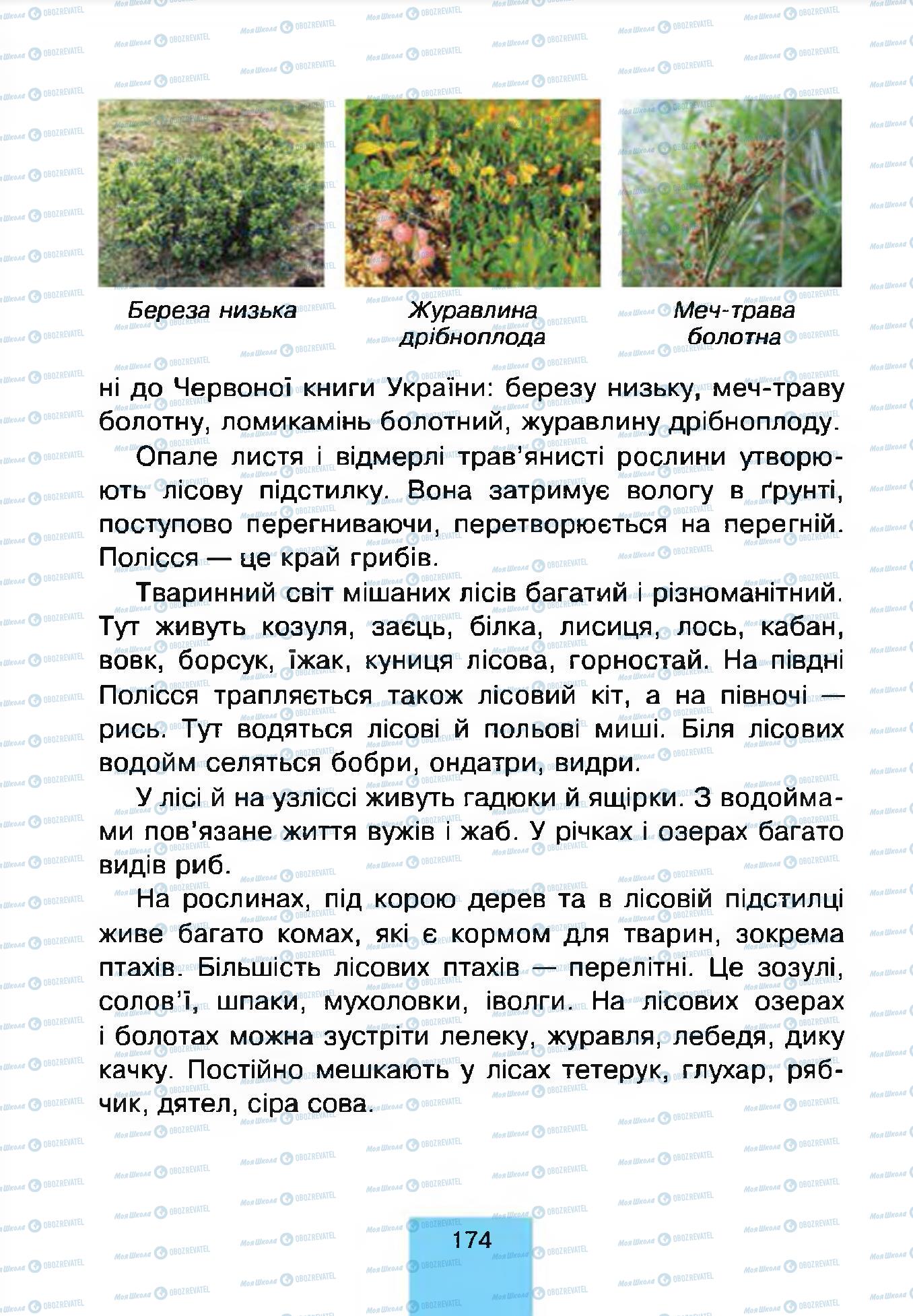 Підручники Природознавство 4 клас сторінка 174