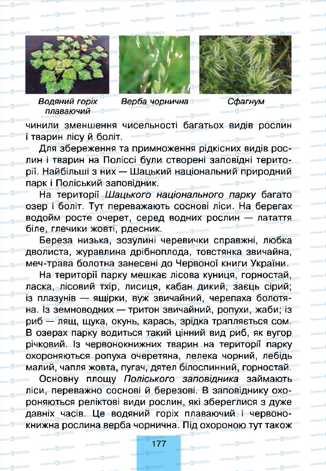 Підручники Природознавство 4 клас сторінка 177