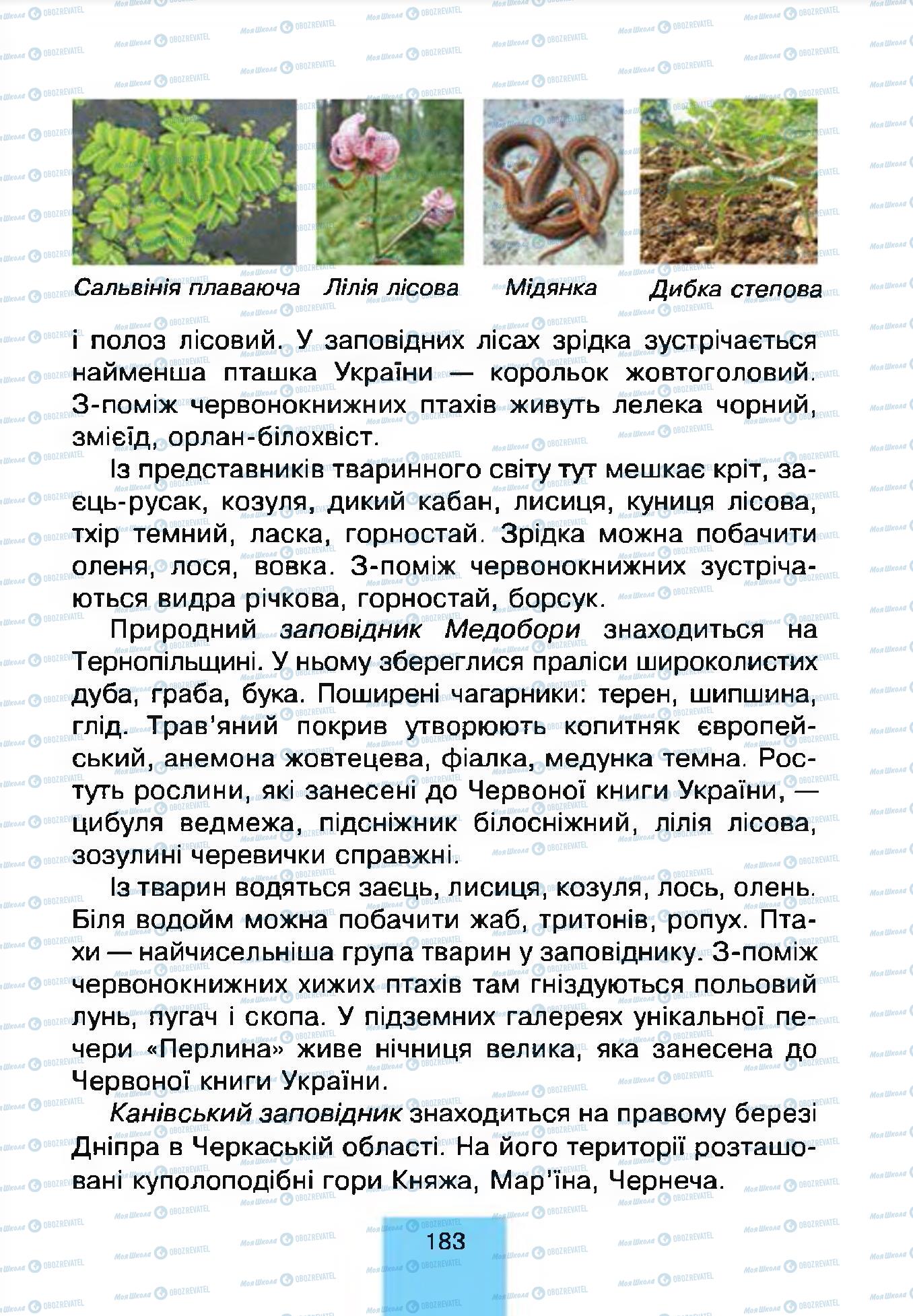 Підручники Природознавство 4 клас сторінка 183