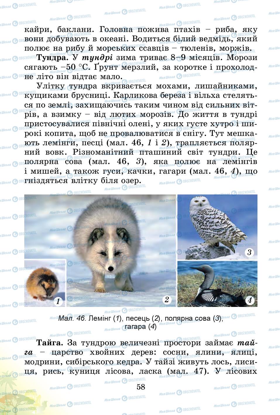 Підручники Природознавство 4 клас сторінка 58
