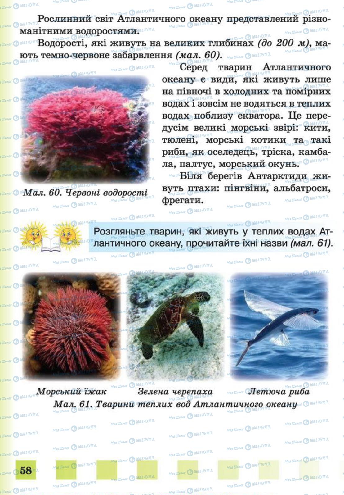 Підручники Природознавство 4 клас сторінка 58