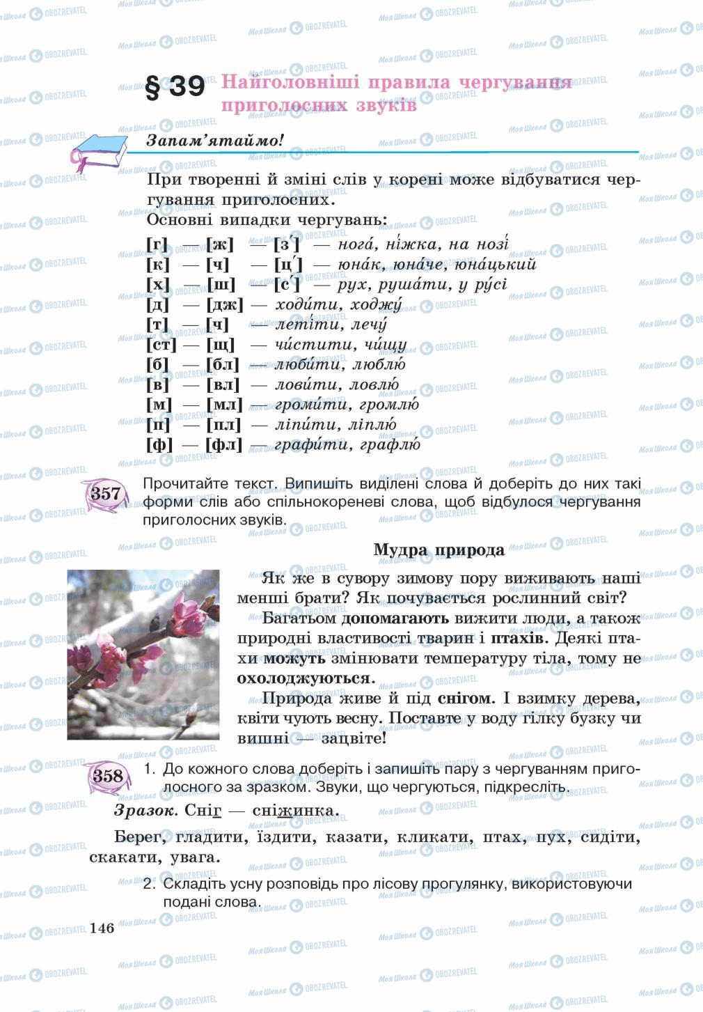 Учебники Укр мова 5 класс страница 146