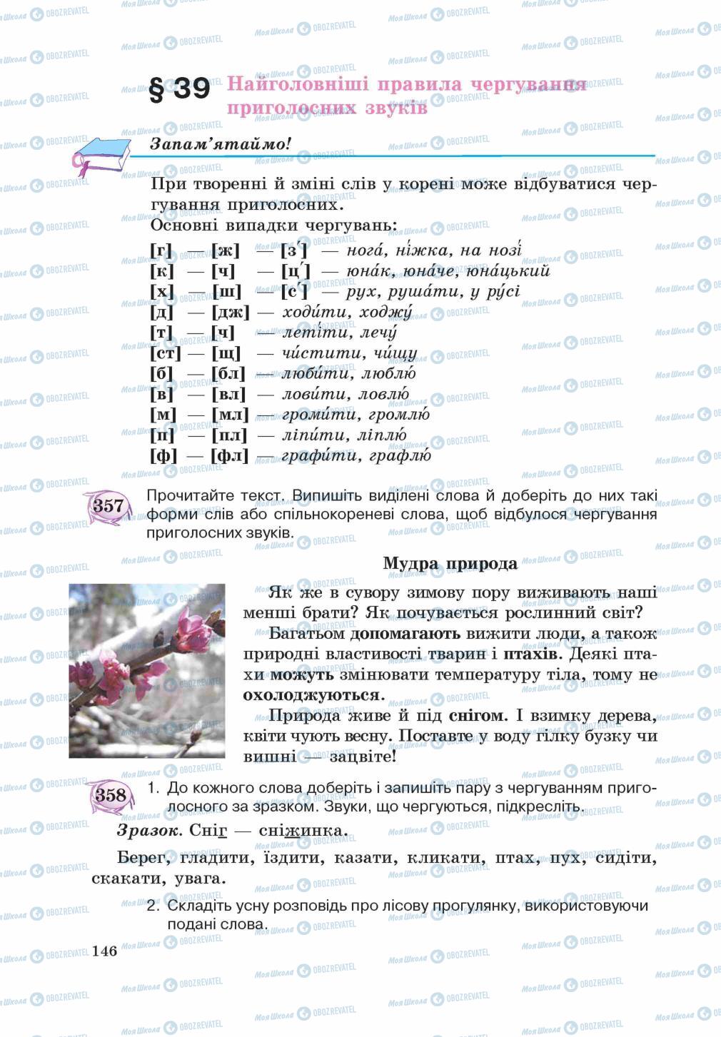 Підручники Українська мова 5 клас сторінка 146