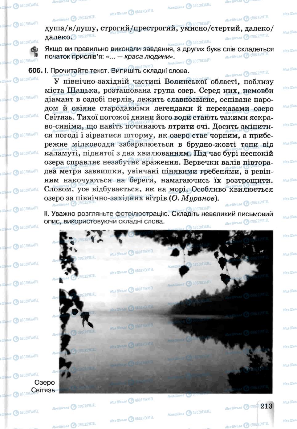Підручники Українська мова 5 клас сторінка 213