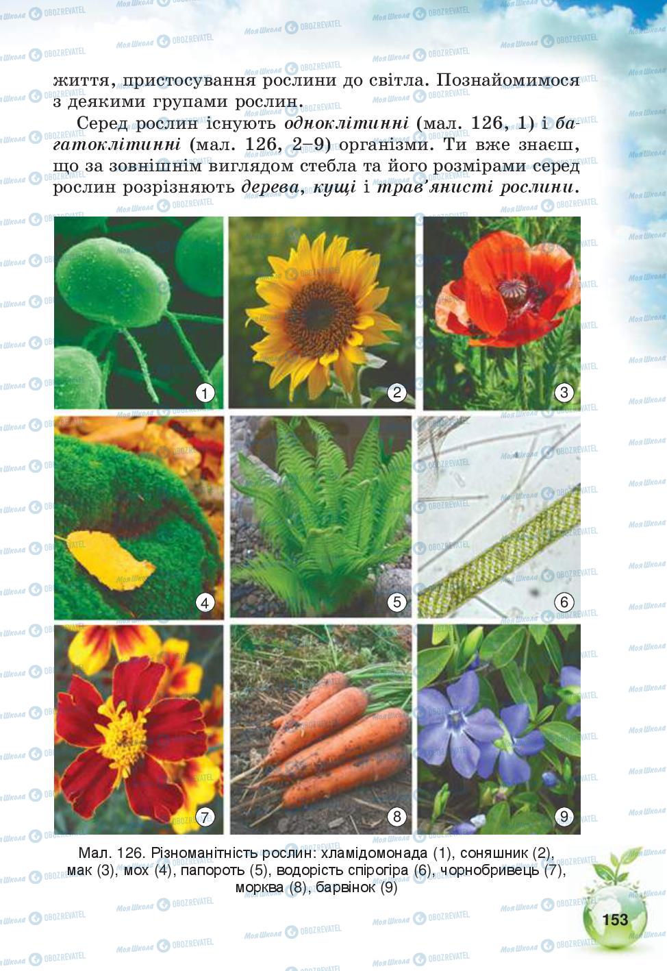 Учебники Природоведение 5 класс страница 153