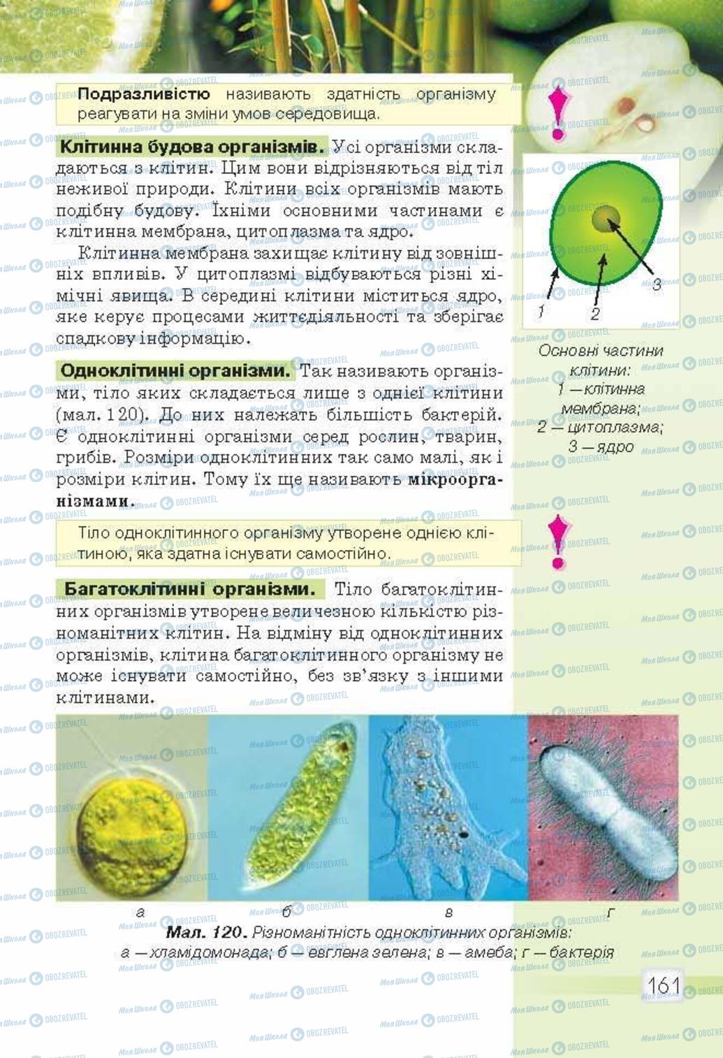 Учебники Природоведение 5 класс страница 161