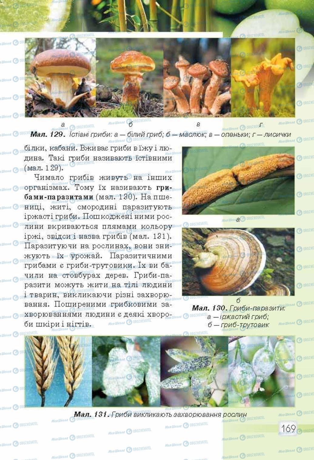 Підручники Природознавство 5 клас сторінка 169