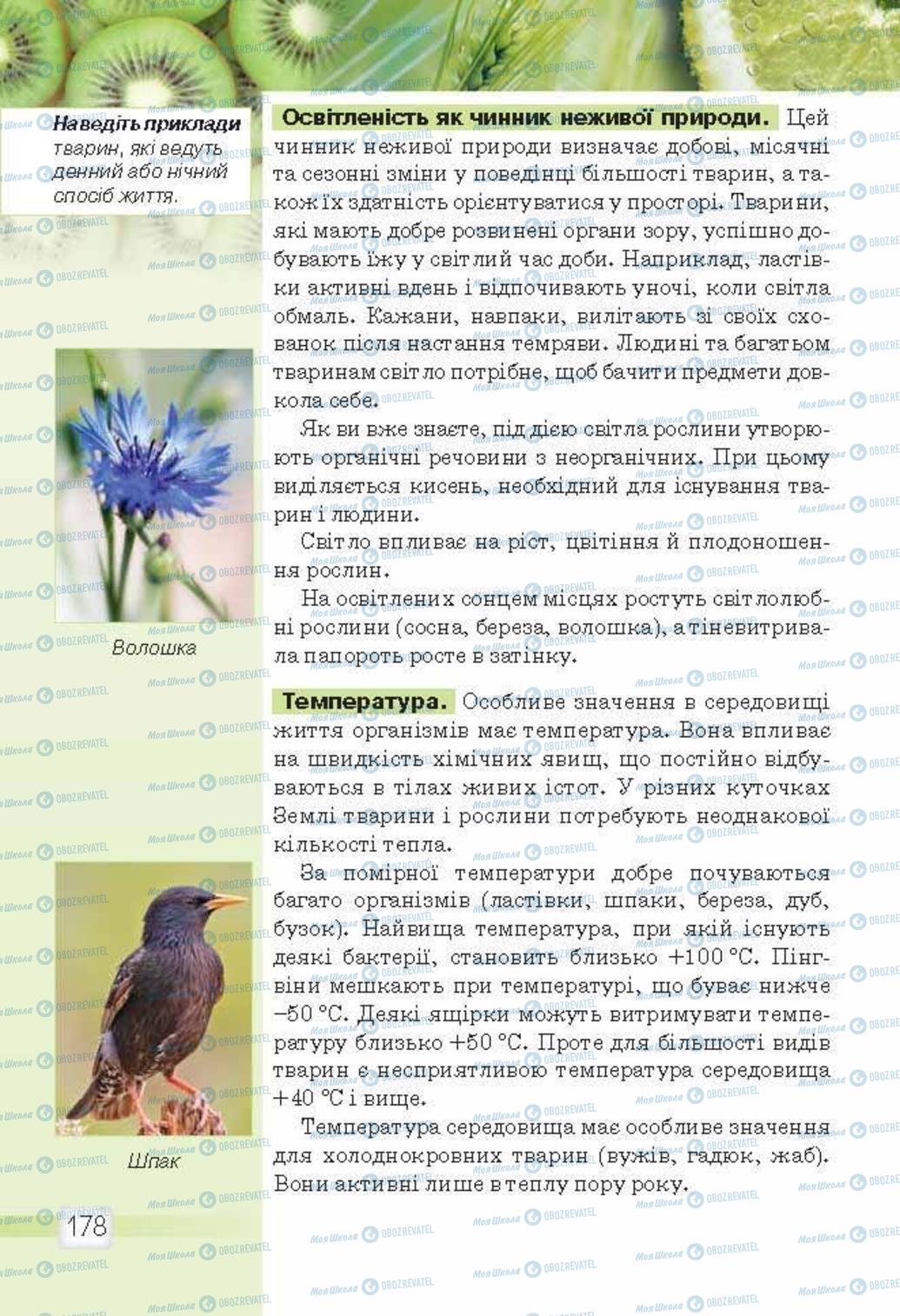 Підручники Природознавство 5 клас сторінка 178
