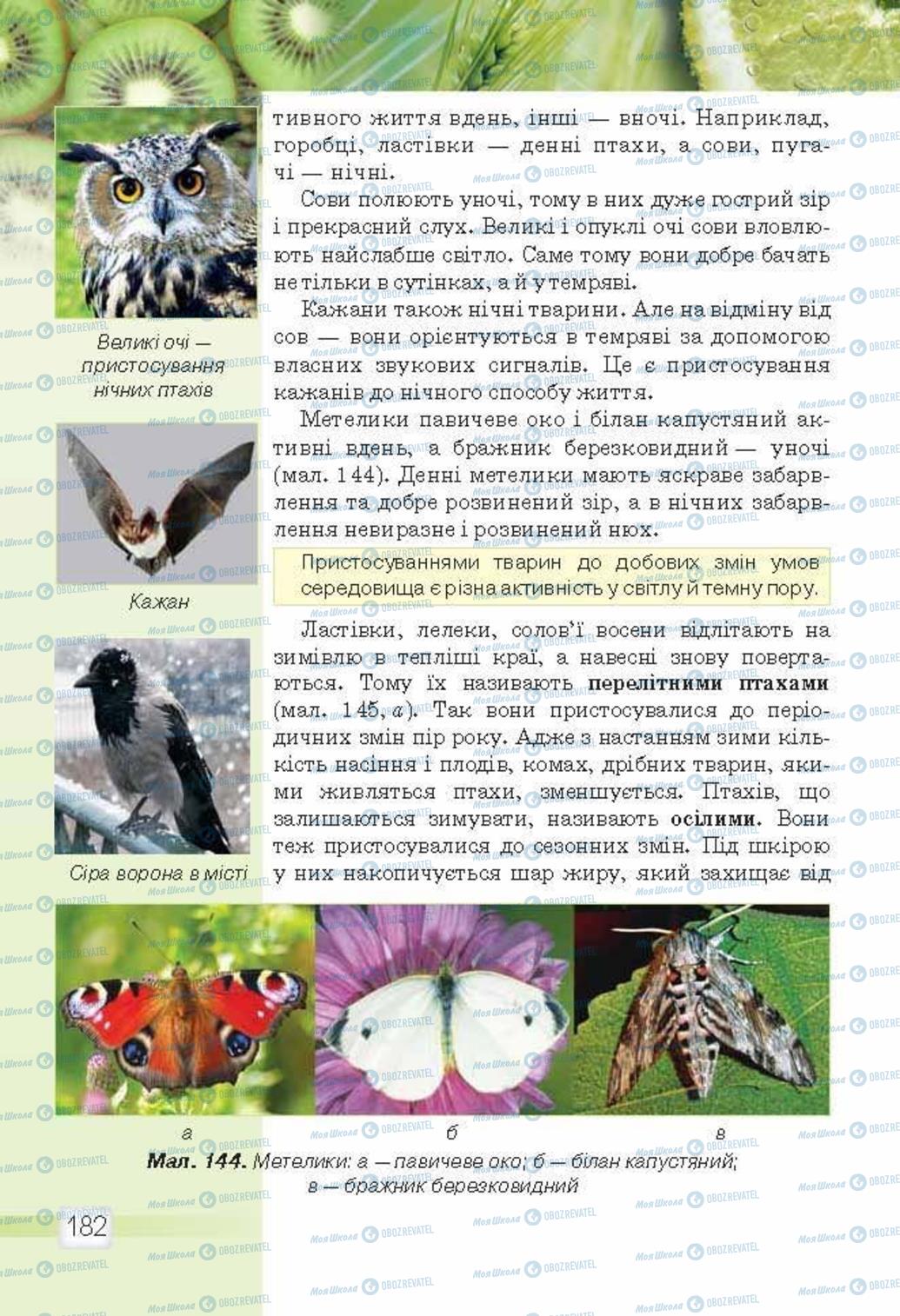 Підручники Природознавство 5 клас сторінка 182