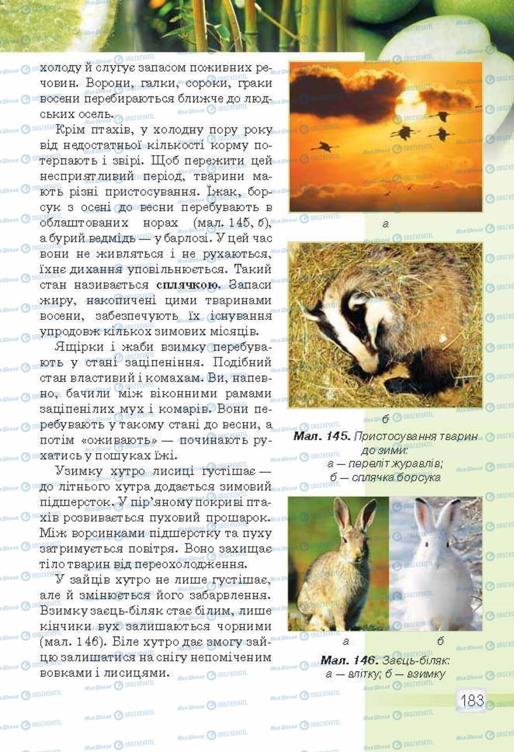 Підручники Природознавство 5 клас сторінка 183