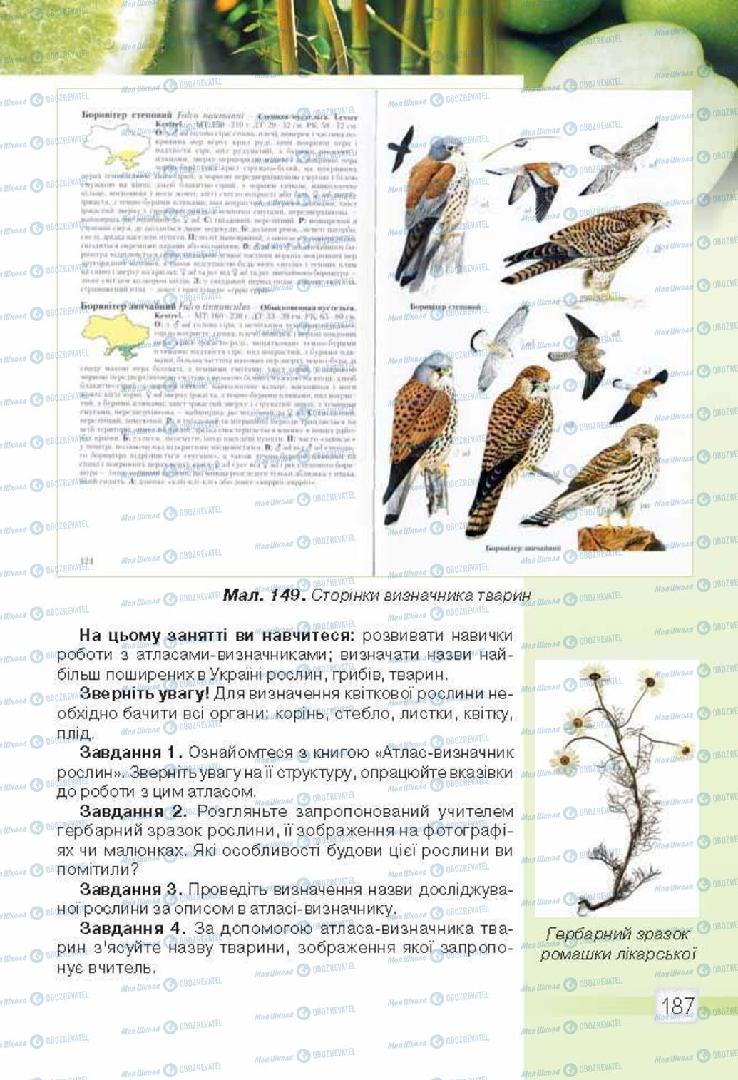 Підручники Природознавство 5 клас сторінка 187