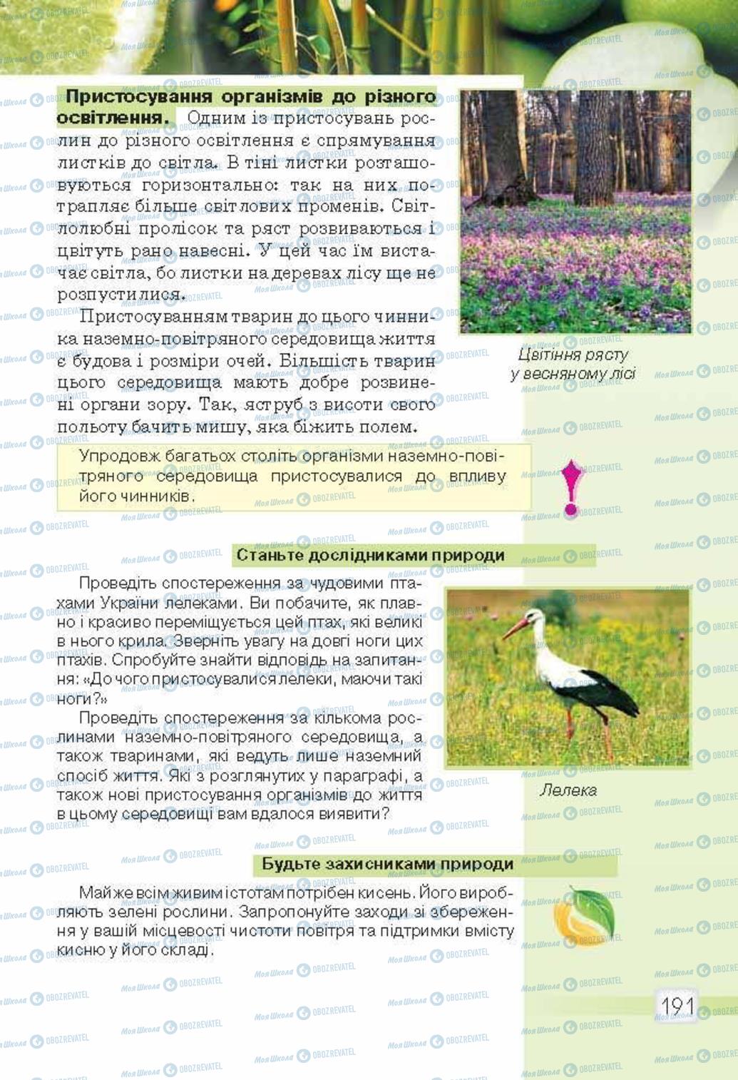 Підручники Природознавство 5 клас сторінка 191