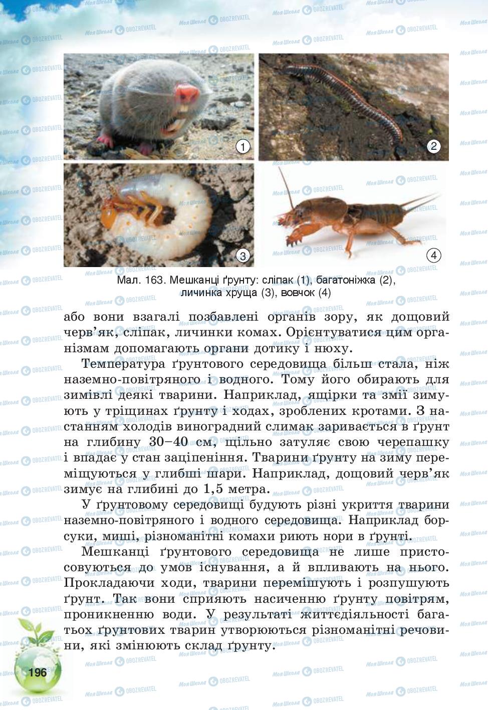 Підручники Природознавство 5 клас сторінка 196